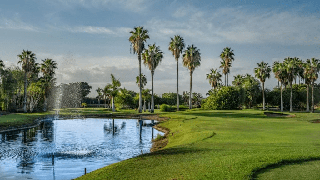 Golf Los Palos - Best golf courses in Tenerife
